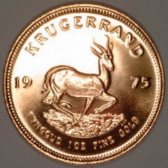 Our 1975 Mint Condition One Ounce Gold Krugerrand Reverse Photograph