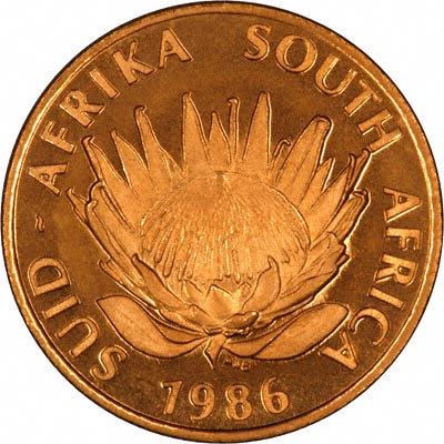 Obverse of 1986 Proof Protea Tenth Ounce Coin