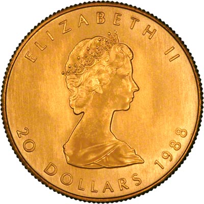Obverse of 1988 Canadian Half Ounce Gold Maple Leaf