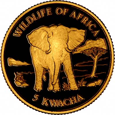 African Elephant on Reverse of 2000 Malawi Gold 5 Kwacha