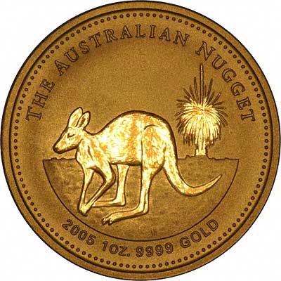 Reverse Design of a Year 2005 Australian One Ounce Gold Kangaroo Nugget Coin