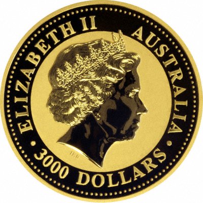 Obverse of 2007 Australian One Kilo Gold Kangaroo Nugget Coin