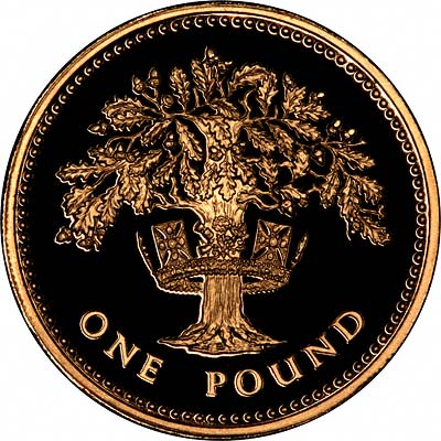 English Oak Tree on Reverse of 2008 Proof Gold One Pound Coin