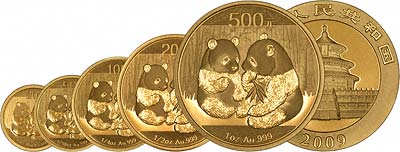 2009 Chinese Gold Panda Coins in all Five Sizes