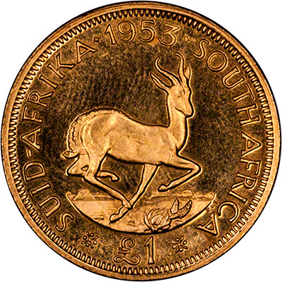 1953 South Africa Gold Pound REV