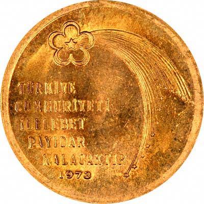 Reverse of 1973 500 Lire