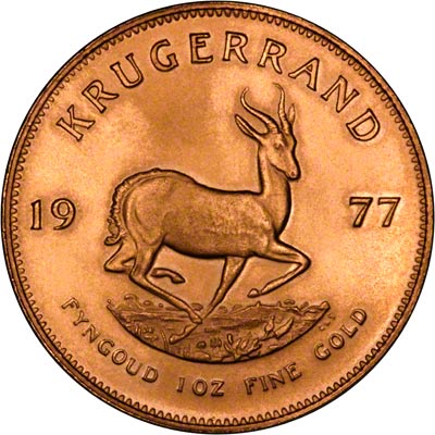 Reverse of 1977 One Ounce Gold Krugerrand