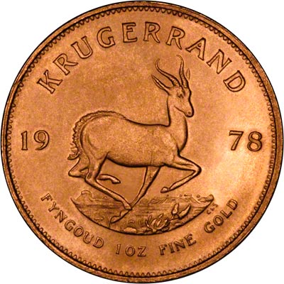 Reverse of 1978 One Ounce Gold Krugerrand