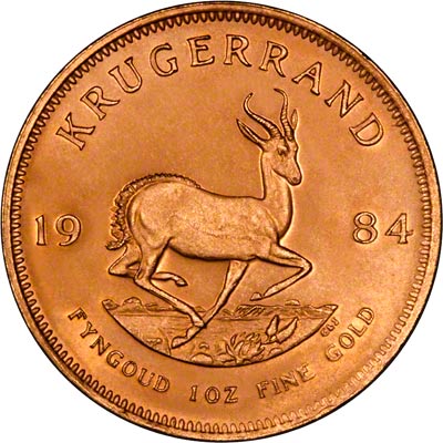 Reverse of 1984 One Ounce Gold Krugerrand