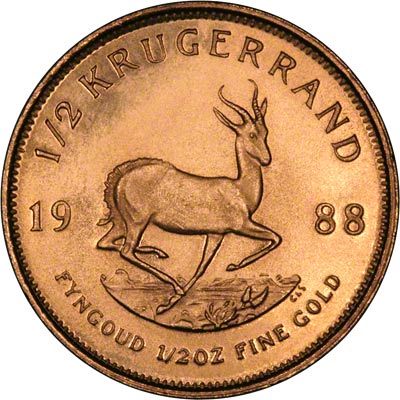 Reverse of 1988 Half Ounce Gold Krugerrand