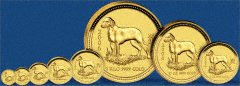 Complete Set of 2006 Gold Dog Coin