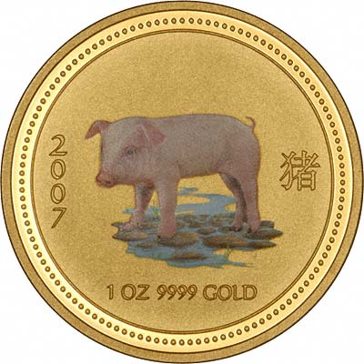 Pig or Boar on Reverse of 2007 Year of the Pig Coloured One Ounce Gold Bullion Coin