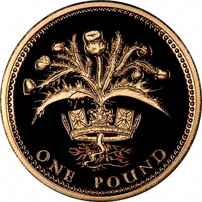Scottish Thistle on Reverse of 2008 Proof Gold One Pound Coin